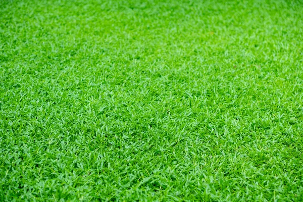 Zielona Trawa Tle Boisko Piłki Nożnej — Zdjęcie stockowe