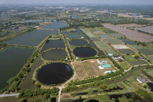 stock image Aerial view from flying drone of Fish pond, fish far