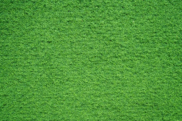 Zöld Háttér Futball Fiel — Stock Fotó