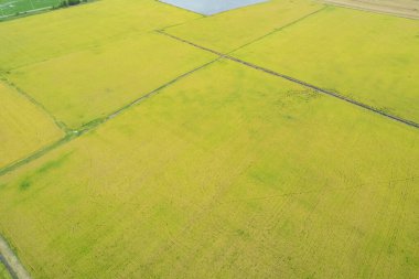 alan arkaplanı, üst manzara manzarası, natur