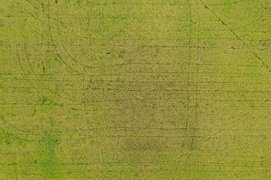 alan arkaplanı, üst manzara manzarası, natur