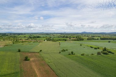 Yüksek açılı çiftlik manzarası, bitki yetiştirme, güzel arazi manzarası.