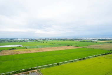 Yüksek açılı çiftlik manzarası, bitki yetiştirme, güzel arazi manzarası.