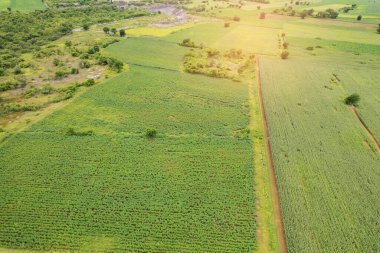 Yüksek açılı çiftlik manzarası, bitki yetiştirme, güzel arazi manzarası.