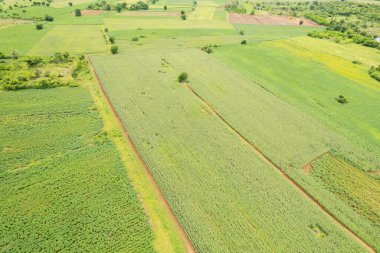Yüksek açılı çiftlik manzarası, bitki yetiştirme, güzel arazi manzarası.