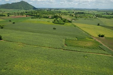 Yüksek açılı çiftlik manzarası, bitki yetiştirme, güzel arazi manzarası.
