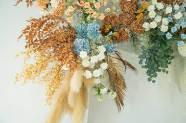 güzel çiçek arkaplanı, renkli doğa