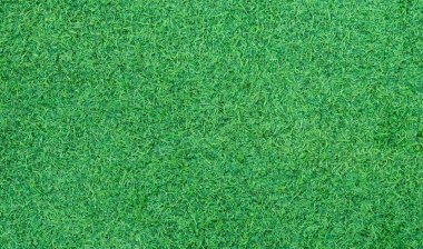 Yeşil çimen arka plan, futbol sahası