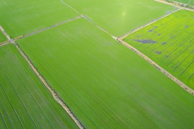 alan arkaplanı, üst manzara manzarası, natur