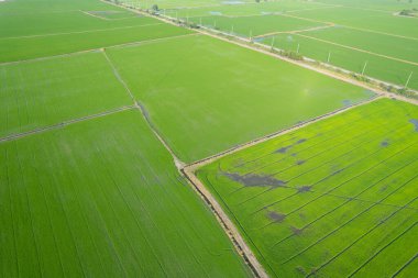 alan arkaplanı, üst manzara manzarası, natur