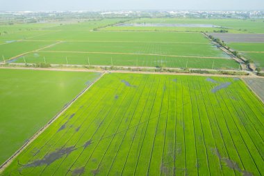 alan arkaplanı, üst manzara manzarası, natur