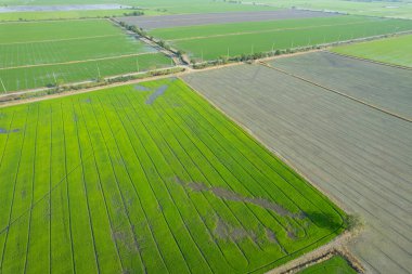 alan arkaplanı, üst manzara manzarası, natur