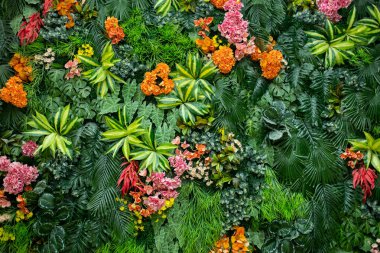 yeşil yapraklı duvar arkaplanı, yaprak duvarlı doğa sıralı