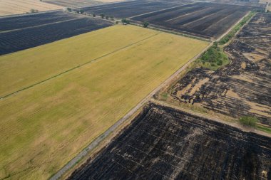Pirinç tarlalarını yakmak, uçan pirinç dronunun havadan görüntüsü, orman yangını.
