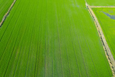 alan arkaplanı, üst manzara manzarası, natur