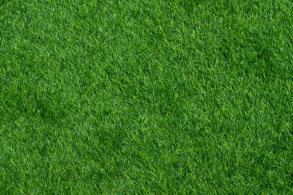 Zöld Háttér Futball Fiel — Stock Fotó