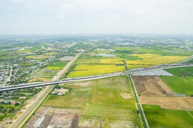 Pirinç tarlasının uçan insansız hava aracından gelen hava görüntüsü çevre yeşil desenli arka plan, üst görüş alanı ric