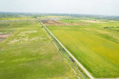 Pirinç tarlasının uçan insansız hava aracından gelen hava görüntüsü çevre yeşil desenli arka plan, üst görüş alanı ric