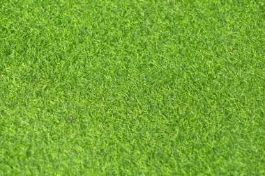 Yeşil çimen arka plan, futbol sahası