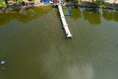 Balık havuzunun uçan insansız hava aracı, balık çiftliği
