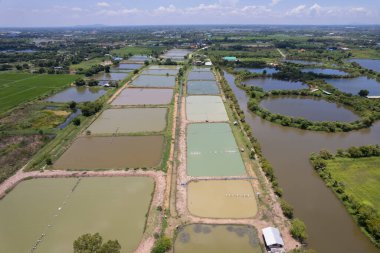 Balık göletinin uçan insansız hava aracı, balık çok uzakta.