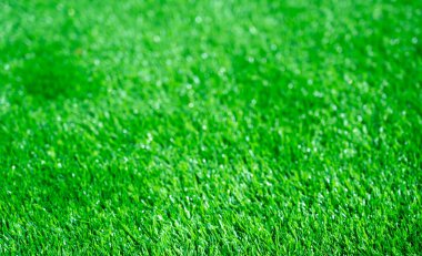 Yeşil çimen arkaplan, duvar kağıdı