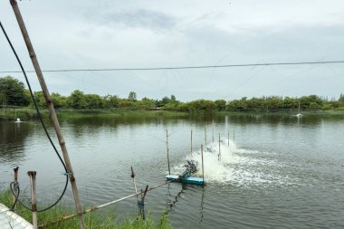 Su pompası balık havuzunda çalışıyor.
