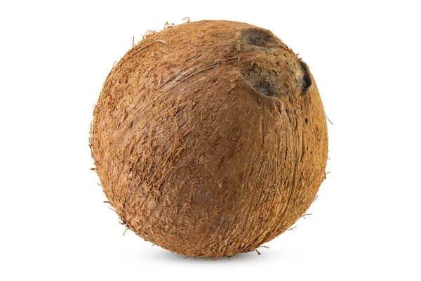 ココナッツだ ココナッツを割らない新鮮な 細切りココナッツにはよくない ヤシの木料理のための油 飲むためにココナッツミルクをしてください 食品写真 白い隔離された背景 高解像度写真 — ストック写真