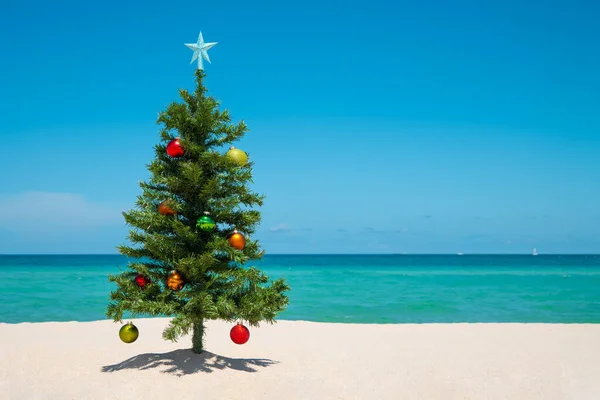 Albero Natale Sulla Spiaggia Buon Natale Ciao Felice Anno Nuovo Foto Stock