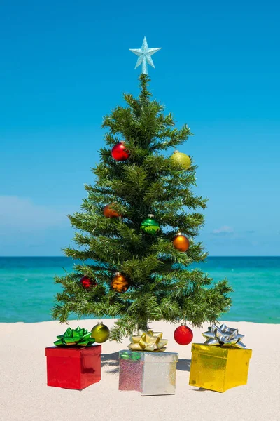 海滩上的圣诞树圣诞快乐 送礼品盒新年快乐 迈阿密佛罗里达度假 装饰的圣诞树或冷杉树 热带自然 蓝海为背景 — 图库照片