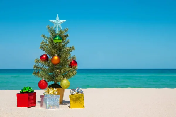 圣诞树 海滩上的圣诞树圣诞快乐 新年快乐 送礼品盒庆祝寒假 在佛罗里达州迈阿密海滩度假 圣诞节明信片 大西洋 复制空间 — 图库照片