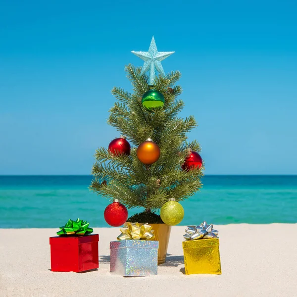 Weihnachtsbaum Weihnachtsbaum Strand Frohe Weihnachten Frohes Neues Jahr Geschenkbox Vorhanden — Stockfoto