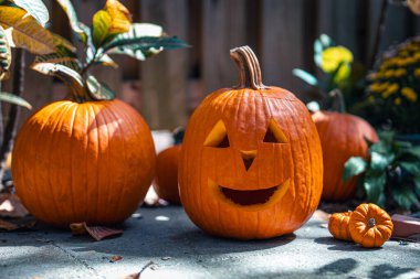 Cadılar Bayramı. Fener suratlı mutlu Jack. Cadılar Bayramı partisinde balkabağı. Gülümseyen Jack-o 'Lantern. Ev için dekorasyon fikri, cadılar bayramında ev. Sonbahar ya da sonbahar mevsimi. Arka planda tahta çit var. Güneşli bir gün