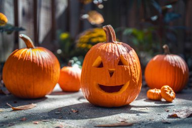 Cadılar Bayramı. Fener suratlı mutlu Jack. Cadılar Bayramı partisinde balkabağı. Gülümseyen Jack-o 'Lantern. Ev için dekorasyon fikri, cadılar bayramında ev. Sonbahar ya da sonbahar mevsimi. Arka planda tahta çit var. Güneşli bir gün