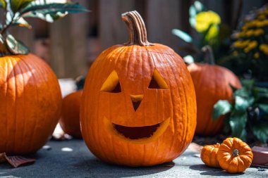 Cadılar Bayramı. Fener suratlı mutlu Jack. Cadılar Bayramı partisinde balkabağı. Gülümseyen Jack-o 'Lantern. Ev için dekorasyon fikri, cadılar bayramında ev. Sonbahar ya da sonbahar mevsimi. Arka planda tahta çit var. Güneşli bir gün