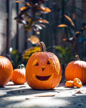 Cadılar Bayramı. Fener suratlı mutlu Jack. Cadılar Bayramı partisinde balkabağı. Gülümseyen Jack-o 'Lantern. Ev için dekorasyon fikri, cadılar bayramında ev. Sonbahar ya da sonbahar mevsimi. Arka planda tahta çit var. Güneşli bir gün