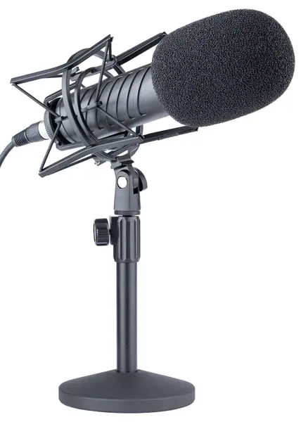 Mikrofon Professionell Dynamisk Eller Kondensatormikrofon Radiosändningar Eller Podcastmikrofon Med Stöt Stockfoto