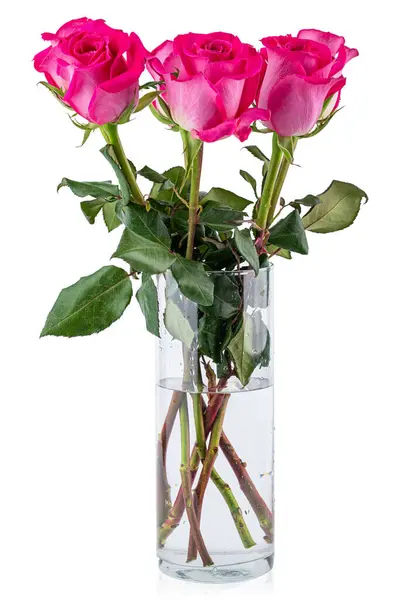 Pink roses in a vase. Rose flower. Flowers for florist shop. Plant petals. Bouquet on wedding, marriage, anniversary, celebration birthday, dating, valentine day or greeting card. Isolated background