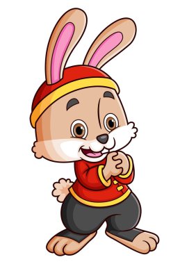 Geleneksel Çin elbisesi giyen sevimli tavşan Cheongsam.