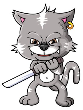 The fighter cat holding a samurai of illustration