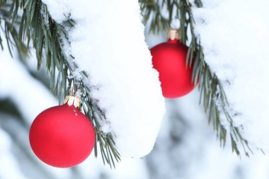 Ormandaki doğal bir Noel ağacının Noel süsleri. Beyaz doğal karla kaplı bir arka planda Noel ağacı süsleri..