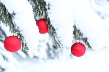 Ormandaki doğal bir Noel ağacının Noel süsleri. Beyaz doğal karla kaplı bir arka planda Noel ağacı süsleri..