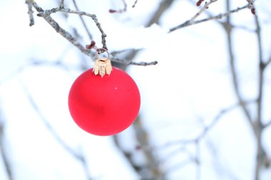 Ormandaki doğal bir Noel ağacının Noel süsleri. Beyaz doğal karla kaplı bir arka planda Noel ağacı süsleri..