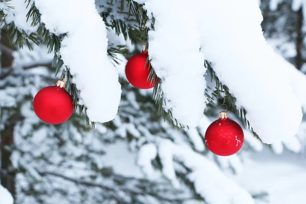 森林里一棵天然圣诞树上的圣诞装饰品 圣诞树上的圣诞装饰品 背景是白雪 — 图库照片
