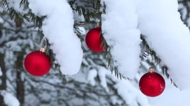 Ormandaki doğal bir Noel ağacının Noel süsleri. Beyaz doğal karla kaplı bir arka planda Noel ağacı süsleri..