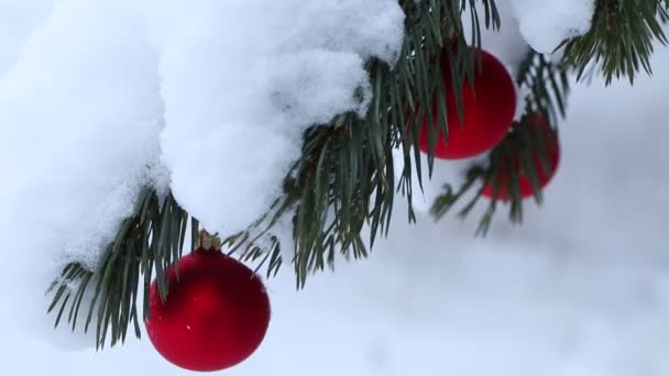 Decoraciones Navidad Árbol Navidad Natural Bosque Decoraciones Navidad Árbol Navidad — Vídeos de Stock