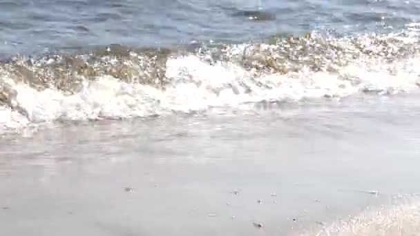 Surf Marino Una Playa Verano Vacaciones Verano Balneario Fuertes Olas — Vídeo de stock