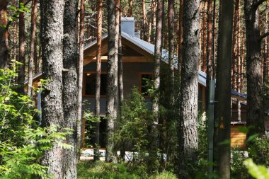 Çam ormanındaki bir otelde. Tatil köyündeki ağaçların arasında güzel ahşap bir ev.