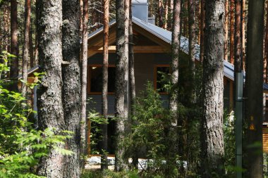 Çam ormanındaki bir otelde. Tatil köyündeki ağaçların arasında güzel ahşap bir ev.