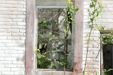 Boyayla boyanmış beyaz tuğla duvar. Beyaz tuğla duvardaki kırmızı sıvı çok güzel bir dekor..